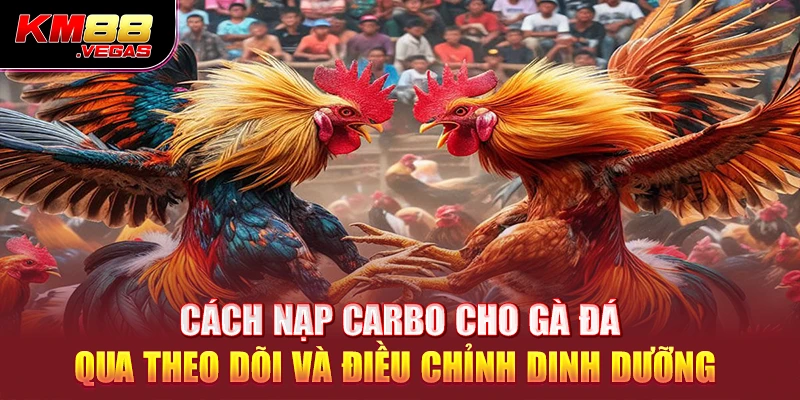 Cách nạp carbo cho gà đá qua theo dõi và điều chỉnh dinh dưỡng