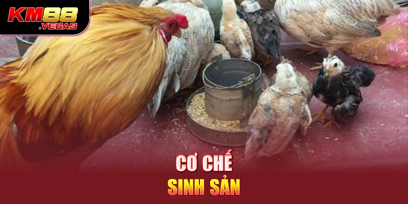 Cơ chế sinh sản