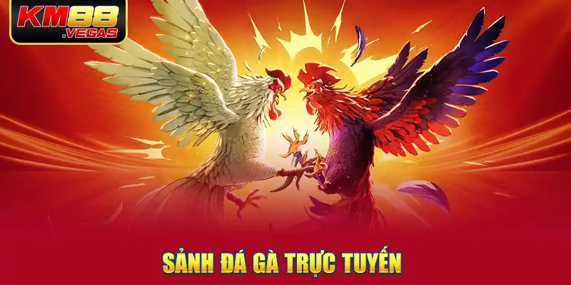 Sảnh Đá Gà trực tuyến